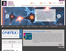 Tablet Screenshot of labex-cortex.com
